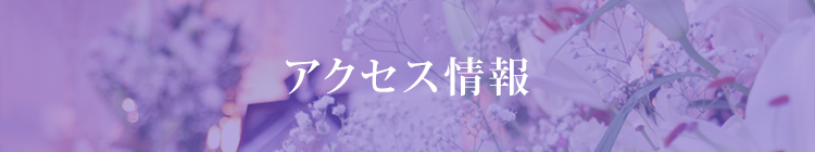 アクセス情報